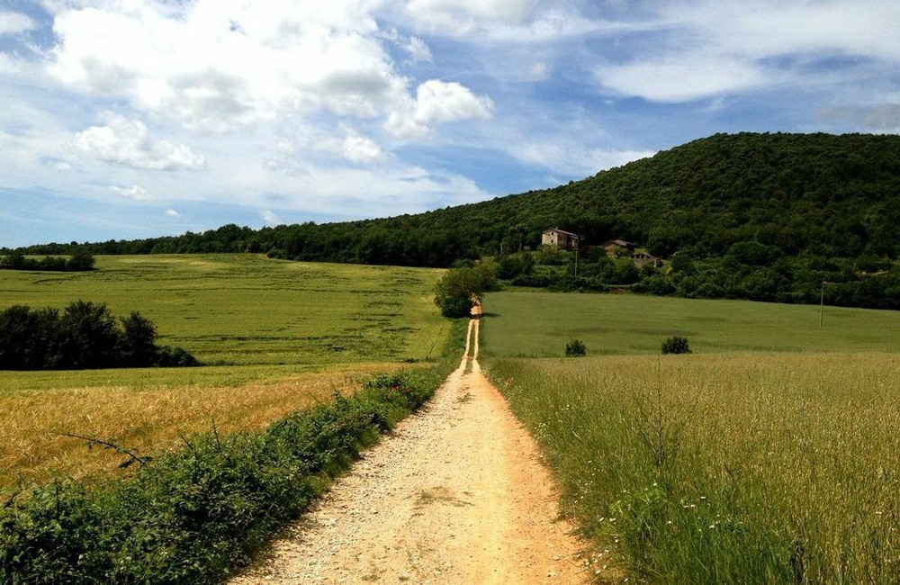 Via Francigena Camino: San Miniato to Siena Via Francigena Camino: San Miniato to Siena