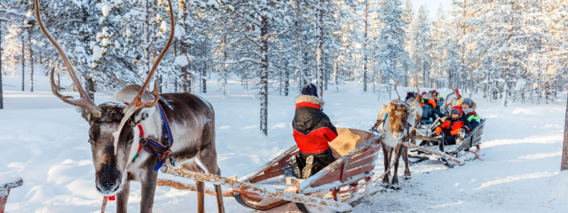 Gift Guide- Lapland